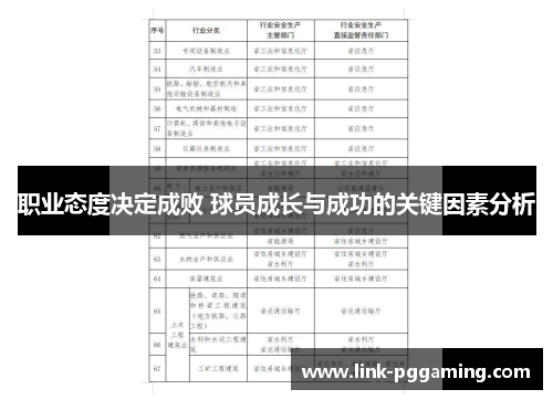 职业态度决定成败 球员成长与成功的关键因素分析