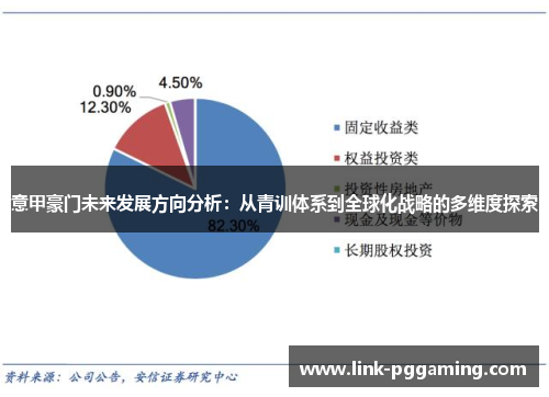 意甲豪门未来发展方向分析：从青训体系到全球化战略的多维度探索