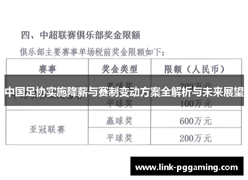 中国足协实施降薪与赛制变动方案全解析与未来展望