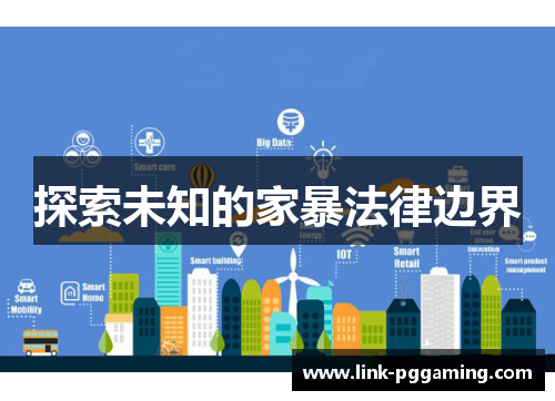 探索未知的家暴法律边界