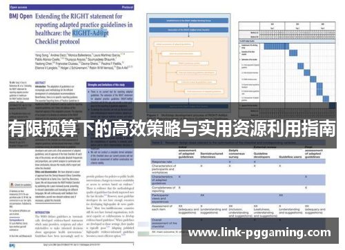 有限预算下的高效策略与实用资源利用指南