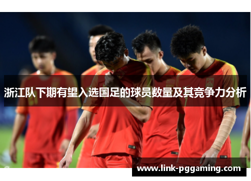 浙江队下期有望入选国足的球员数量及其竞争力分析