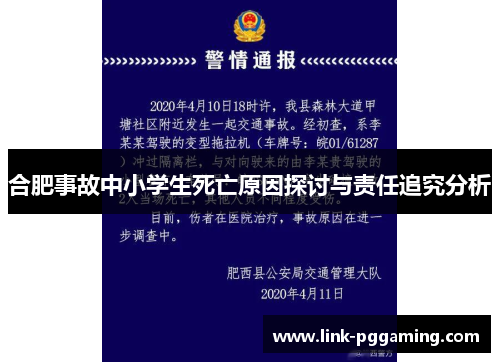 合肥事故中小学生死亡原因探讨与责任追究分析