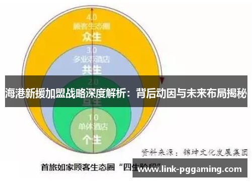 海港新援加盟战略深度解析：背后动因与未来布局揭秘