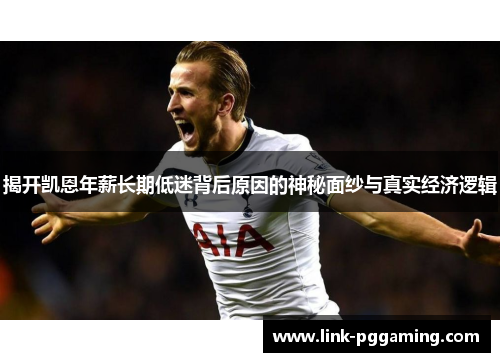 揭开凯恩年薪长期低迷背后原因的神秘面纱与真实经济逻辑