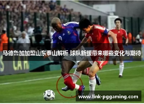 马德鲁加加盟山东泰山解析 球队新援带来哪些变化与期待