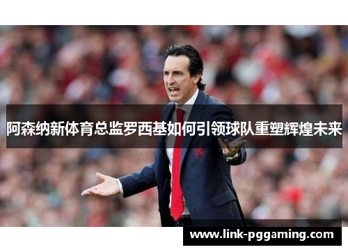 阿森纳新体育总监罗西基如何引领球队重塑辉煌未来 阿森纳新体育总监罗西基如何引领球队重塑辉煌未来