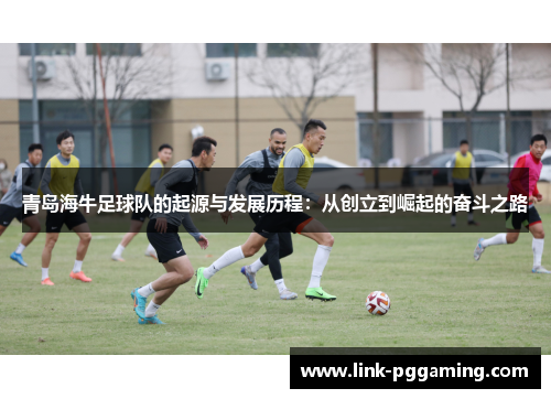 青岛海牛足球队的起源与发展历程：从创立到崛起的奋斗之路