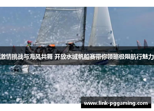激情挑战与海风共舞 开放水域帆船赛带你领略极限航行魅力