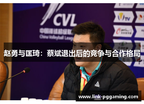 赵勇与匡琦：蔡斌退出后的竞争与合作格局